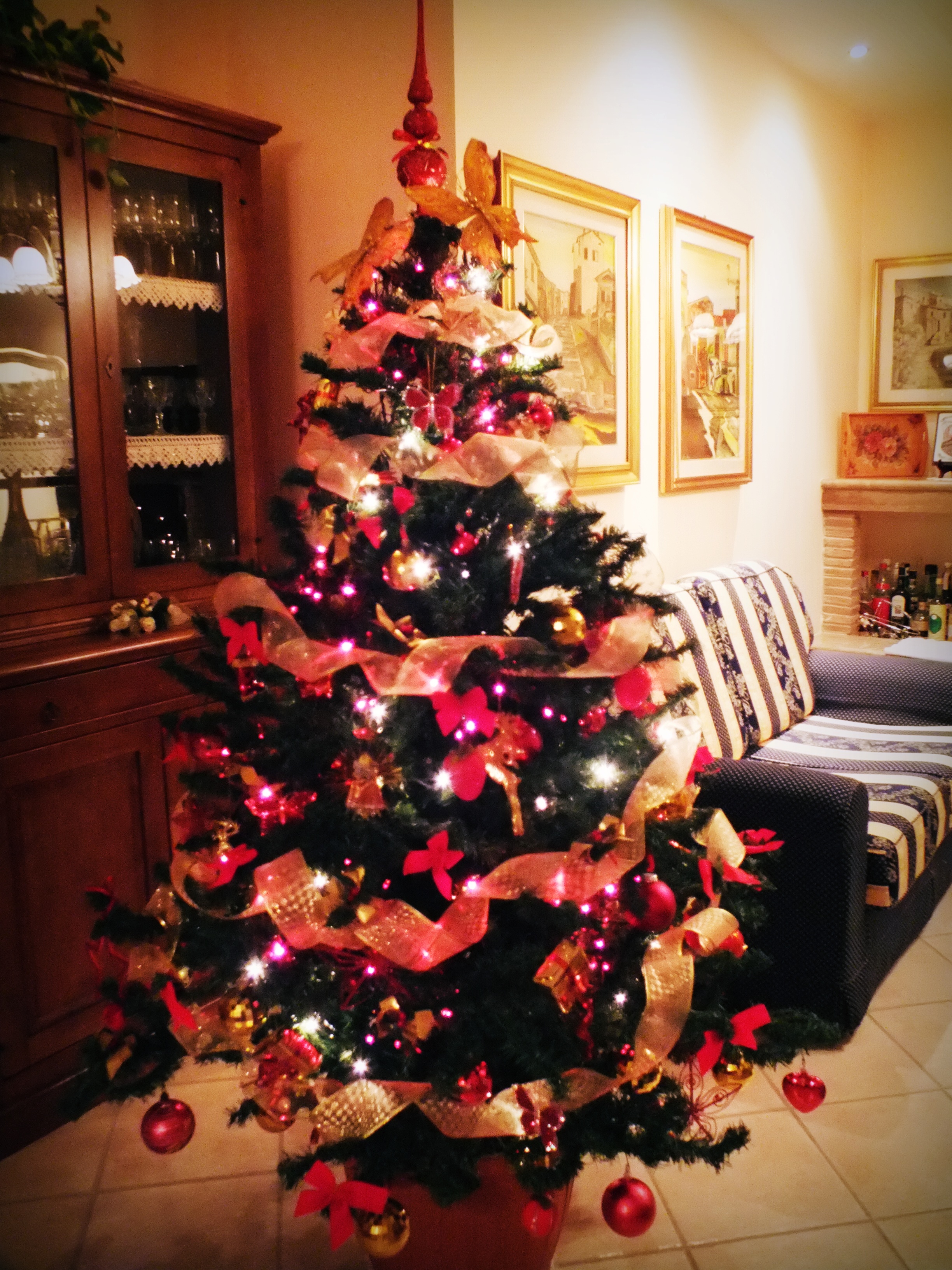 Alessandra - 22/12/2012